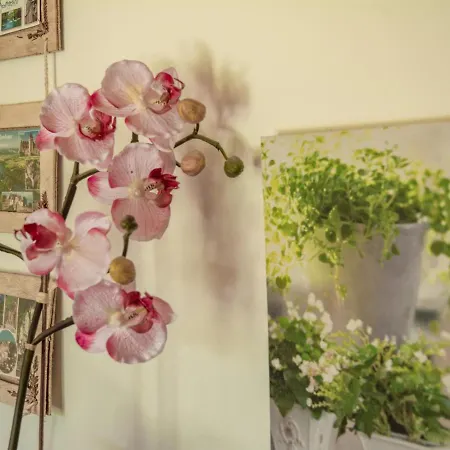 펜션 Le Bleu Nr 33 *