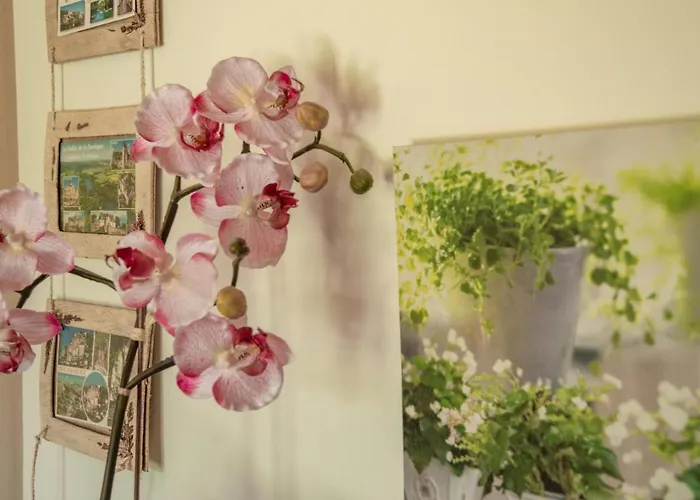 別荘 Le Bleu Nr 33 *